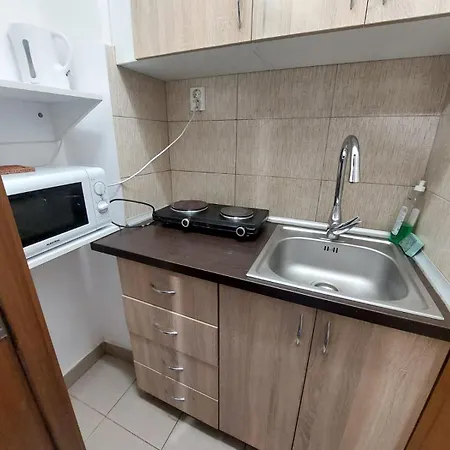 Vasile Conta Apartment *