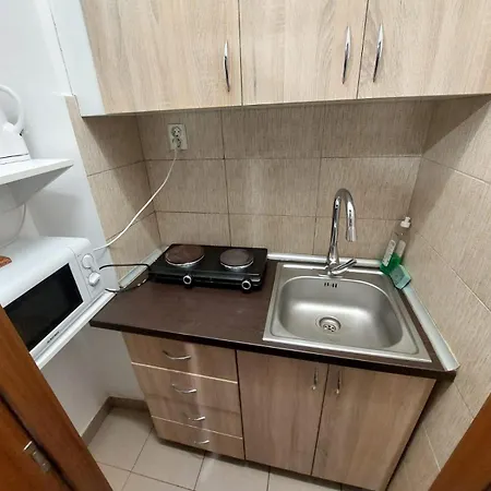 Apartment Vasile Conta